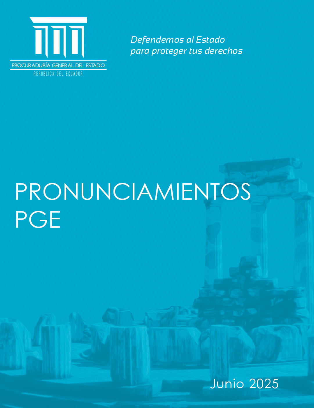 Pronunciamientos Enero 2024 opcion 3